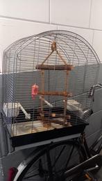 2 x vogel kooi Grasparkieten en amazo pagaai, Ophalen, Zo goed als nieuw, Metaal, Vogelkooi