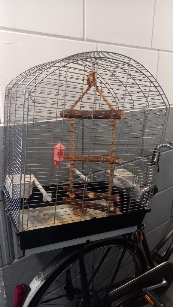 2 x vogel kooi Grasparkieten en amazo pagaai, Dieren en Toebehoren, Vogels | Hokken en Kooien, Zo goed als nieuw, Vogelkooi, Metaal