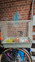 Hamsterkooi plus accessoires, Dieren en Toebehoren, Knaagdieren en Konijnen | Hokken en Kooien, Minder dan 60 cm, Kooi, Minder dan 75 cm