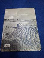 Leica reclameposter “Spanischer Landman” aufnahme nr. 868, Ophalen, Gebruikt, Reclamebord