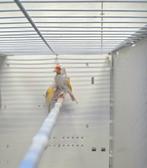 Putter / Distelvink Parva lutino, Dieren en Toebehoren, Vogels | Overige Vogels, Vrouwelijk, Wildzangvogel, Geringd