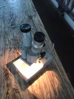 Vintage microscoop euromex Arnhem model SO no. 78-2569 w10x, Antiek en Kunst, Antiek | Gereedschap en Instrumenten, Ophalen of Verzenden