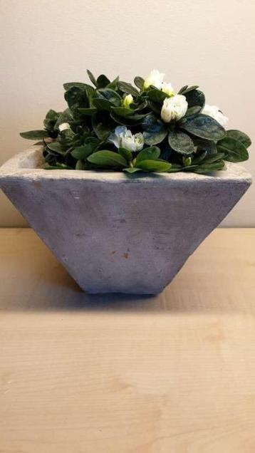 Stenen konische bloempot, hoogte 16cm, diam boven 17cm, mooi beschikbaar voor biedingen