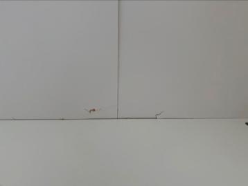 IKEA Pax kleding kast - afbeelding 5