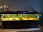 Aquarium 300x70x60 compleet, Dieren en Toebehoren, Vissen | Aquaria en Toebehoren, Ophalen, Zo goed als nieuw, Filter of Co2