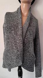 H&M dames vest maat S, Kleding | Dames, Truien en Vesten, H&M, Ophalen of Verzenden, Zo goed als nieuw, Maat 36 (S)