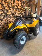 Suzuki lt 80, 80 cc
