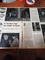 Artikel In Vorden legt de liefde knopen 1958, Ophalen of Verzenden, 1940 tot 1960, Knipsel(s)