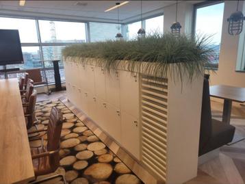 Moderne witte kantoorkast / lockerwand met plantenbak beschikbaar voor biedingen