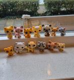 Littlest pet shop poezen kat., Ophalen of Verzenden