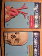 Prometheus Anatomische Atlas - Hoofd & Hals, Zo goed als nieuw, Beta, Michael Schünke, HBO