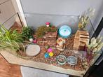 Knaagdier terrarium 80x50x50, Dieren en Toebehoren, Minder dan 60 cm, Ophalen of Verzenden, Zo goed als nieuw, 75 tot 110 cm