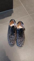 Zgan dames sneakers, tijgerprint, maat 38, Ophalen of Verzenden, Zo goed als nieuw, Bruin, Sneakers of Gympen