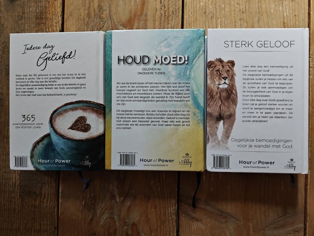 3 Dagboeken van Bobby Schuller., Ophalen of Verzenden, Zo goed als nieuw