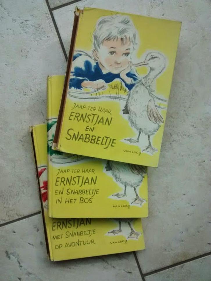 Ernstjan en snabbeltje - Jaap ter Haar, Boeken, Kinderboeken | Jeugd | onder 10 jaar, Gelezen, Ophalen of Verzenden