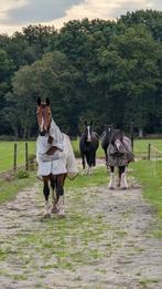 Pensionstal aan het bos, Dieren en Toebehoren, Stalling en Weidegang, Weidegang, 2 of 3 paarden of pony's