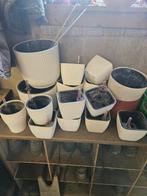 Zelfwaterende Plantenpotten - Diverse Maten & Vormen, Huis en Inrichting, Ophalen of Verzenden