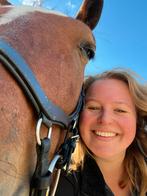 Pensionstalling gezocht! Omgeving Kamperveen, Weidegang, 1 paard of pony