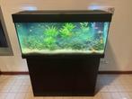 Aquarium tropisch vissen, Dieren en Toebehoren, Ophalen, Zo goed als nieuw, Gevuld zoetwateraquarium