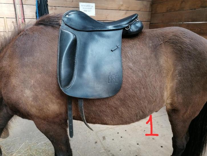 Pony harnachement - kastopruiming!, Dieren en Toebehoren, Paarden en Pony's | Hoofdstellen en Tuigage, Zo goed als nieuw, Dressuur