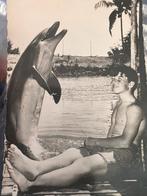 ansichtkaart televieserie Flipper 1970?, Ophalen of Verzenden, 1960 tot 1980, Sterren en Beroemdheden