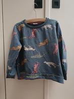 Leuke blauwe trui met cheetahs Hema 110 - 116, Kinderen en Baby's, Kinderkleding | Maat 110, Gebruikt, Jongen of Meisje, Trui of Vest