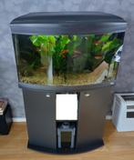 aquarium (geheel compleet), Dieren en Toebehoren, Vissen | Aquaria en Toebehoren, Ophalen, Zo goed als nieuw, Gevuld zoetwateraquarium