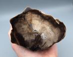 Versteend hout met agaat - Cubuk, Turkije, Ophalen of Verzenden, Mineraal