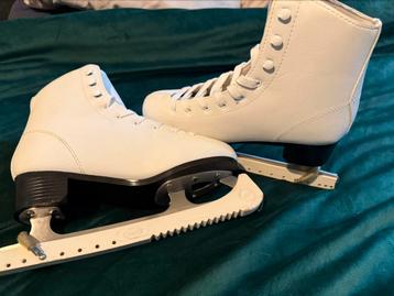 Kunstschaatsen beschikbaar voor biedingen