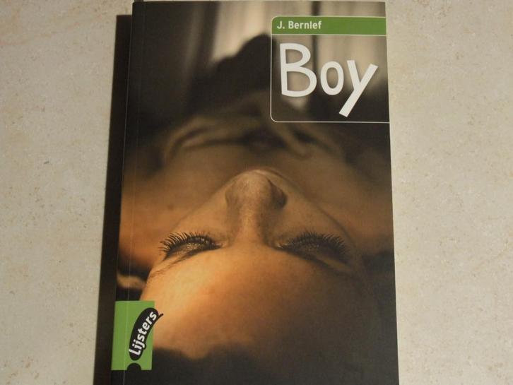 Grote lijsters: Boy / J. Bernlef         , Boeken, Literatuur, Zo goed als nieuw, Ophalen of Verzenden