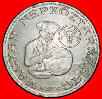 Ⰶ COMMUNIST WHEAT: HUNGARY 10 FORINTS 1983 FAO UNCOMMON! beschikbaar voor biedingen