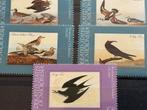 Vogel, Micronesië 1985, Ophalen of Verzenden, Postfris, Dier of Natuur