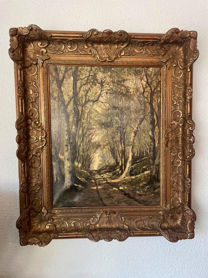 Frans Baaijens kunschilder uit twente, Antiek en Kunst, Kunst | Schilderijen | Klassiek, Ophalen of Verzenden