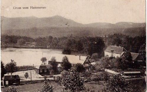 Hammersee, Gruss vom Hammersee, Verzamelen, Ansichtkaarten | Nederland, Gelopen, Zuid-Holland, Voor 1920, Verzenden