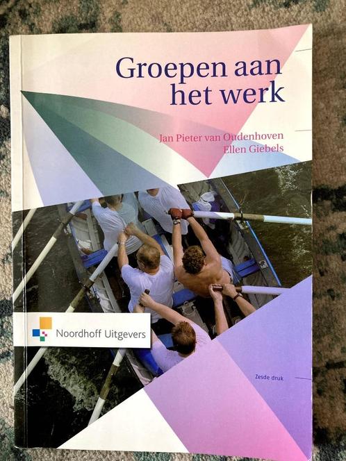 Groepen aan het werk, Boeken, Psychologie, Gelezen, Sociale psychologie, Ophalen of Verzenden