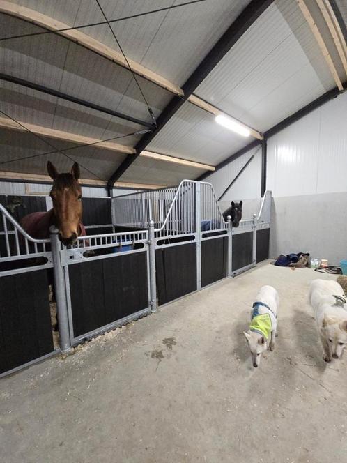 Stalling aangeboden!, Dieren en Toebehoren, Stalling en Weidegang, Stalling, Weidegang