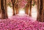 Bloesembomen fotobehang, bloemenstraat behang Fotobehang4you, Verzenden, Minder dan 10 m², Bloesembomen, romantisch, bloesem