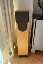 Luidsprekers Chario Syntar 100 Tower, Audio, Tv en Foto, Luidsprekers, Gebruikt, 60 tot 120 watt, Front, Rear of Stereo speakers