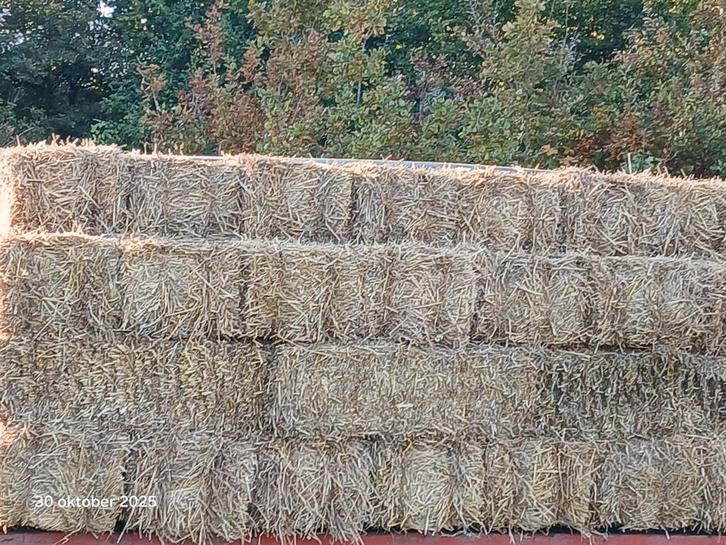 Kleine pakjes Tarwe Stro, Dieren en Toebehoren, Dierenvoeding, Vee, Ophalen of Verzenden