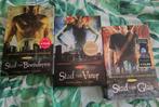 Cassandra Clare: de Kronieken van de Onderwereld (Mortal Ins, Boeken, Fantasy, Ophalen of Verzenden