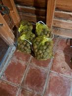 40 kg onbespoten surprise aardappel te koop. 5, Ophalen