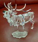 Swarovski Hertenbok, Ophalen of Verzenden, Zo goed als nieuw, Figuurtje