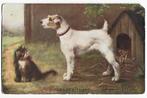 Hond Terrier Spaniel oude kaart kat poes, Verzamelen, Ansichtkaarten | Dieren, Gelopen, Ophalen of Verzenden