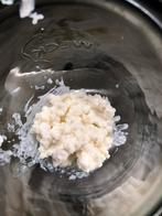 Kefir korrels 40 gr, Diversen, Levensmiddelen, Ophalen