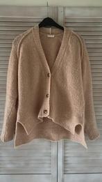 Jane Lushka vest L/XL, Ophalen, Overige kleuren, Maat 42/44 (L), Zo goed als nieuw