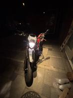 Beta RR 50 Motard, Ophalen, 6 versnellingen, Maximaal 45 km/u, Beta rr50