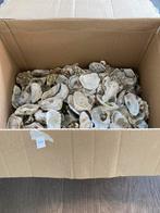 Oesterschelpen 4 kg, Ophalen of Verzenden, Schelp(en)