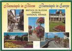 Ansichtkaart	Barnstaple (Engeland)	In Bloom	5-luik, Verzenden, 1980 tot heden, Gelopen, Engeland