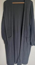 Summum woman vest grijs maat m, Kleding | Dames, Maat 38/40 (M), Summum Woman, Ophalen of Verzenden, Zo goed als nieuw