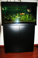 aqarium, met kast, Overige typen, Zoetwatervis